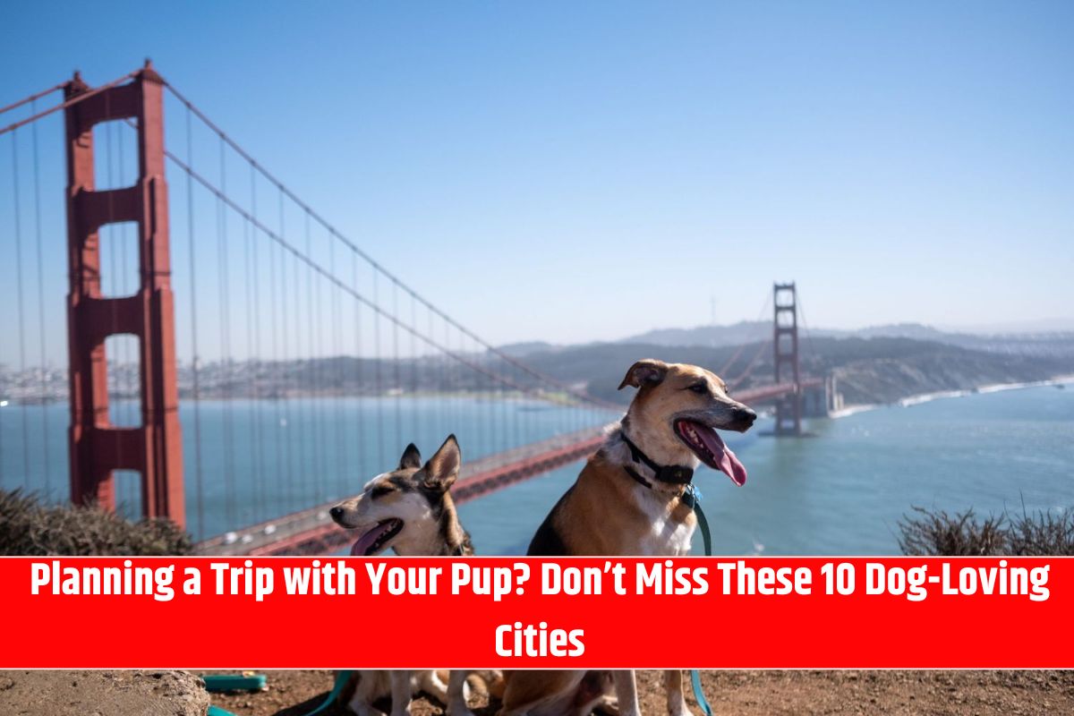 Planning a Trip with Your Pup? Don’t Miss These 10 Dog-Loving Cities